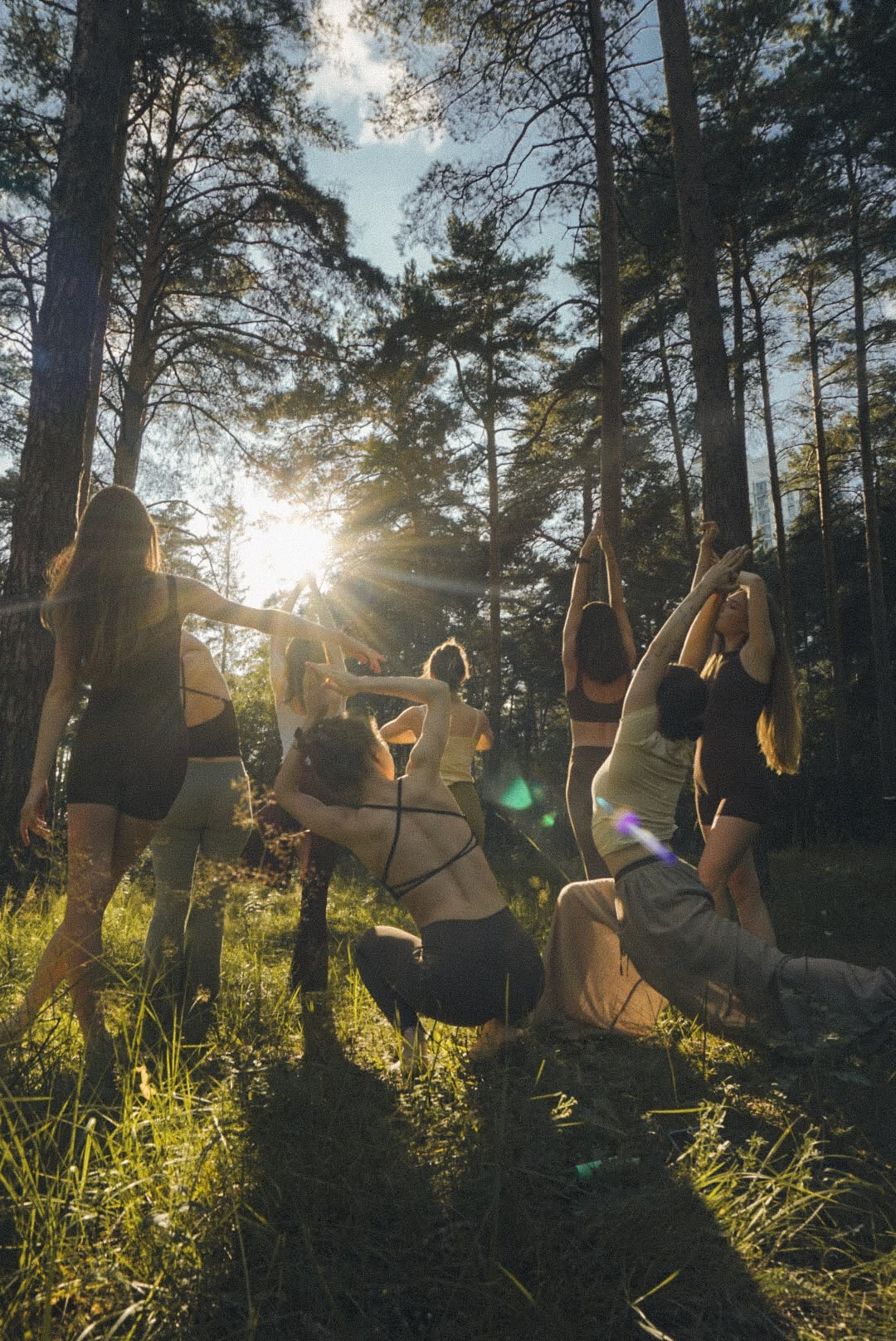 Group yoga in the forest